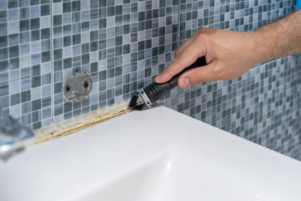 Best Commercial Mold Removal  in Manila, AR