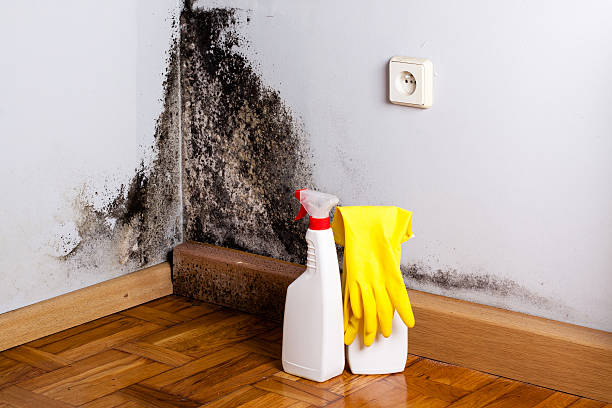 Crawl Space Mold Removal in Manila, AR